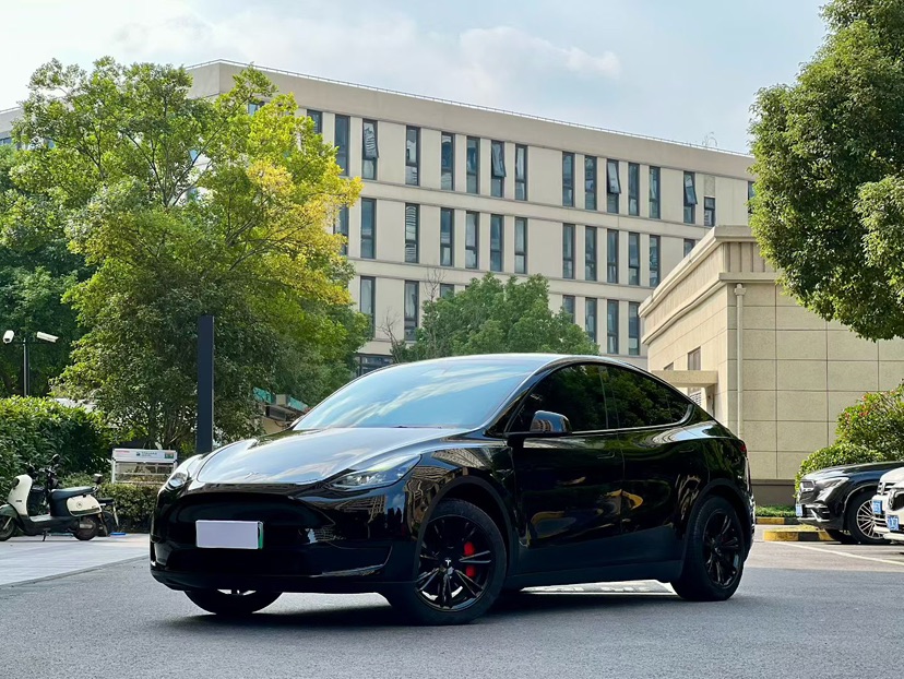 Tesla Model Y 2023 Tesla Model Y 2023 car image
