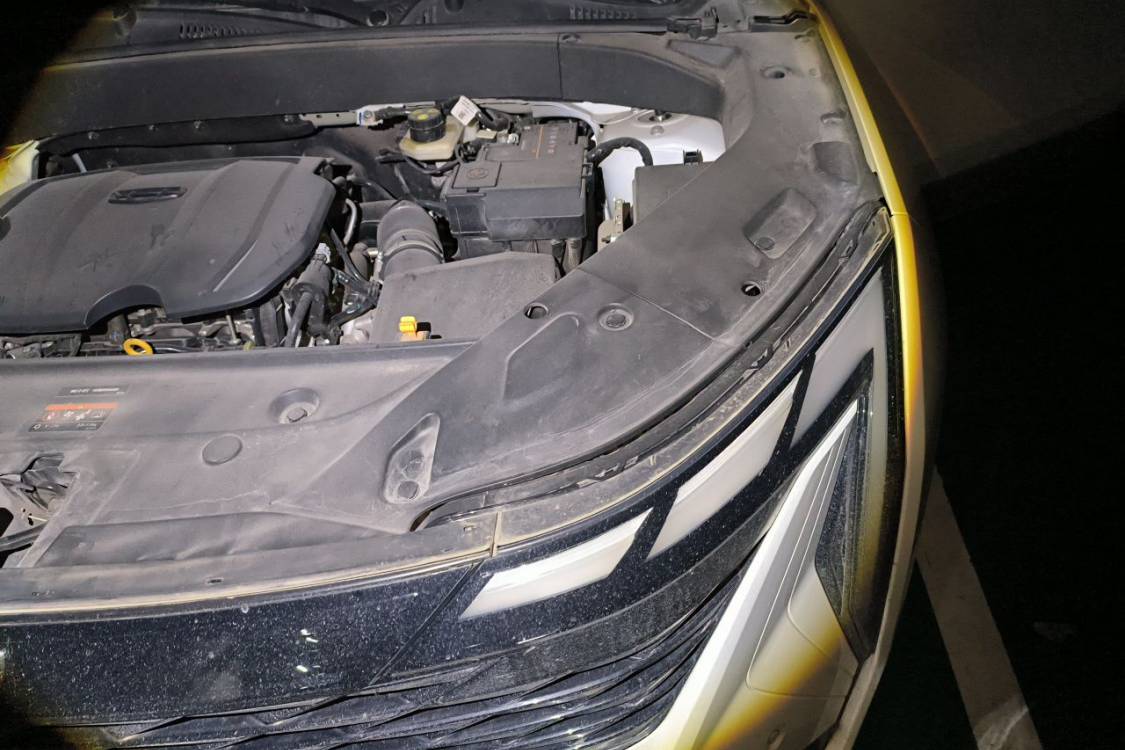 GEELY Boyue L 2024 #12 GEELY Boyue L 2024 immagine di auto #12