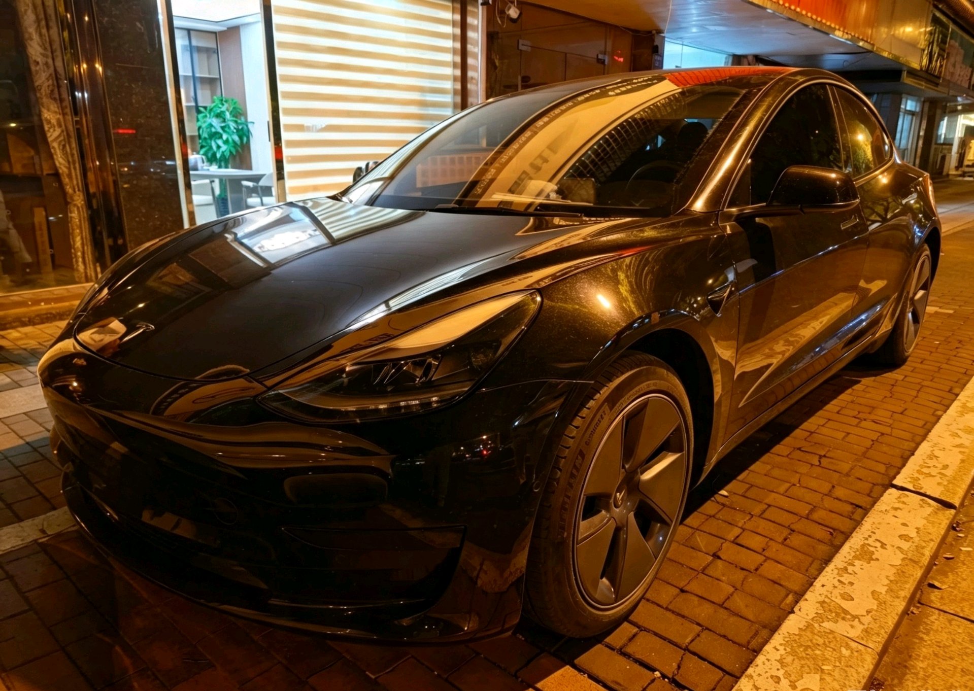 Tesla Model 3 2023 Tesla Model 3 2023 car image