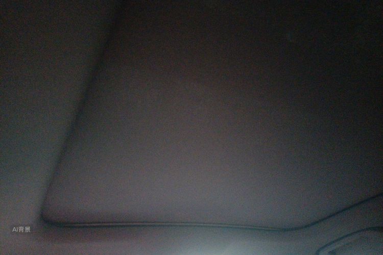 BYD Han 2021 car image #20