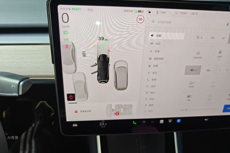 Tesla Model 3 2020 #13 Tesla Model 3 2020 car image #13