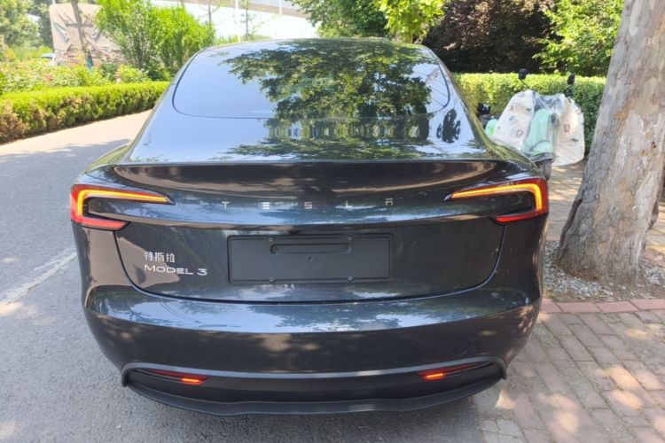 Tesla Model 3 2024 car image #6