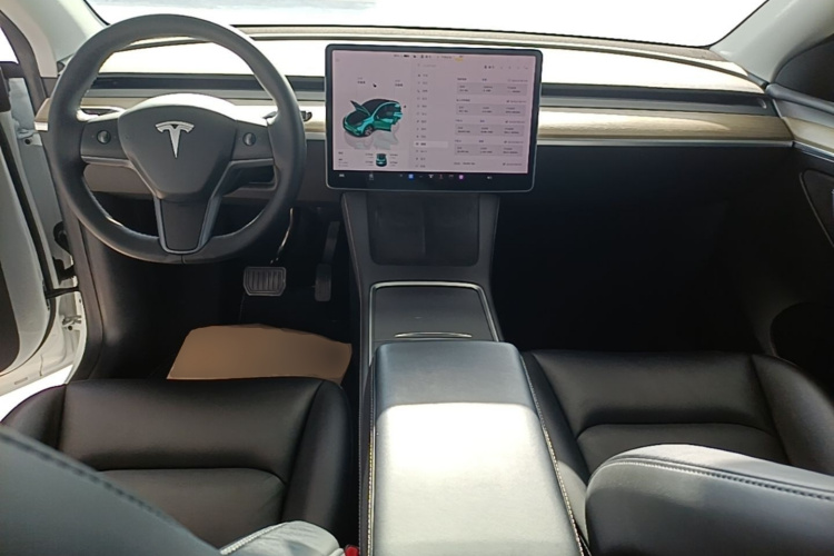 Tesla Model Y 2022 car image #10