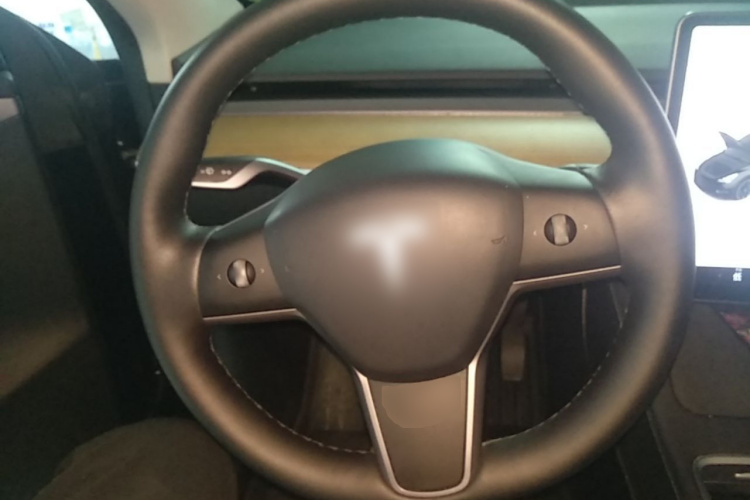 Tesla Model Y 2021 #15 Tesla Model Y 2021 car image #15