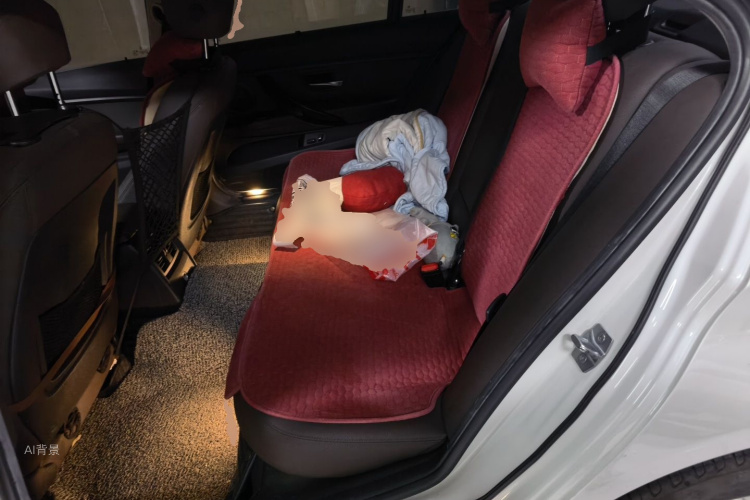 BMW 3 Series 2019 #19 BMW 3 Series 2019 car image #19