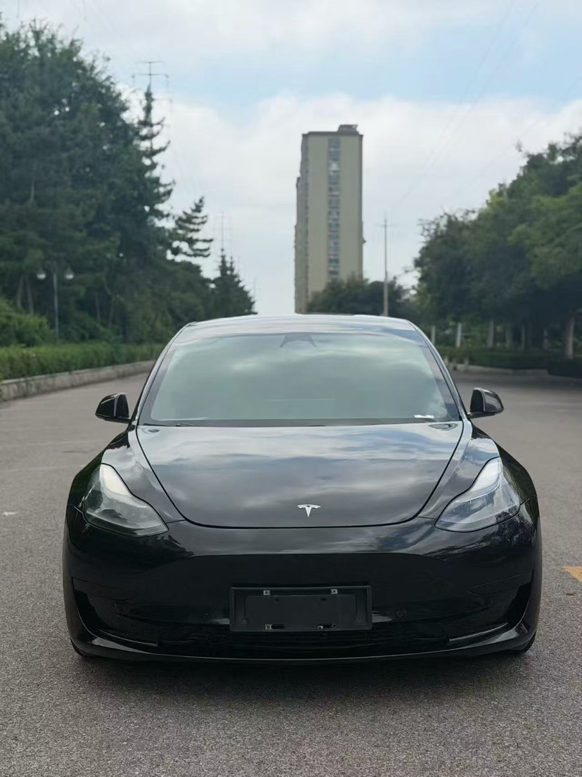 Tesla Model 3 2021 Tesla Model 3 2021 car image