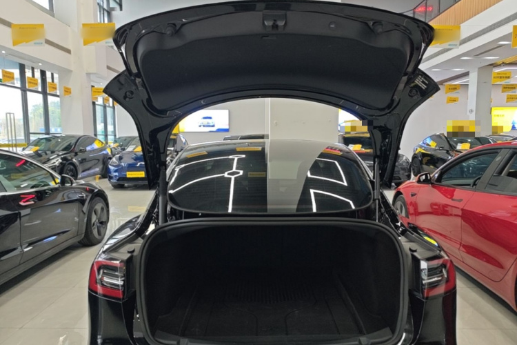Tesla Model 3 2022 car image #19