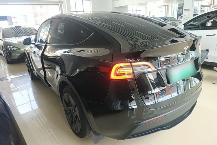 Tesla Model Y 2024 car image #5