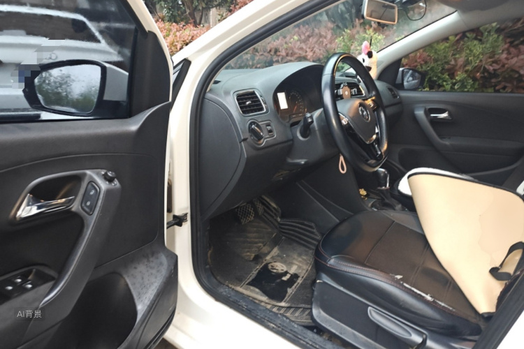 Volkswagen Polo 2017 car image #18