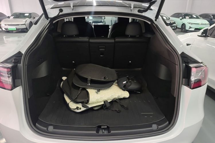 Tesla Model Y 2024 car image #19