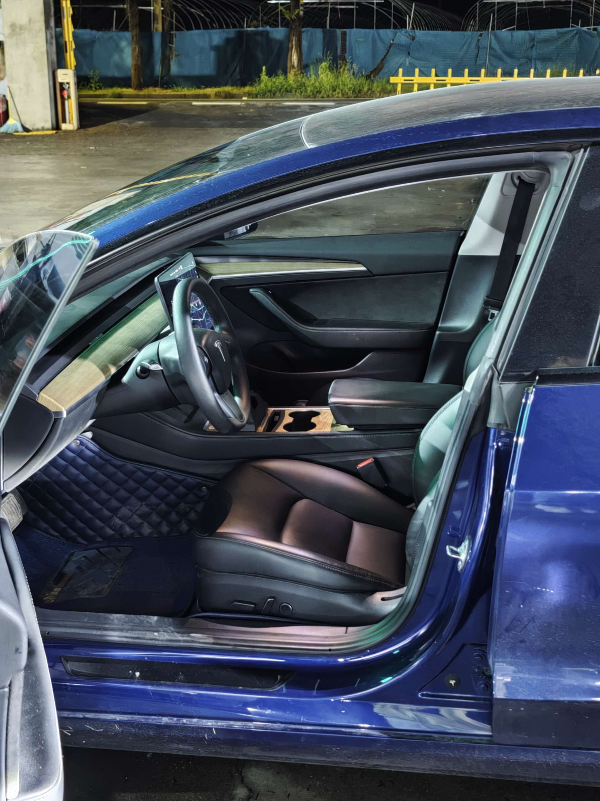 Tesla Model 3 2021 #3 Tesla Model 3 2021 car image #3