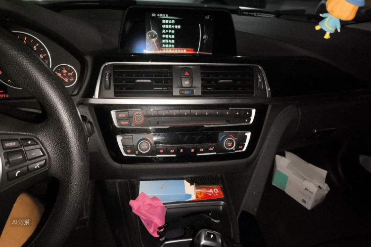 BMW 3 Series 2016 car image #15