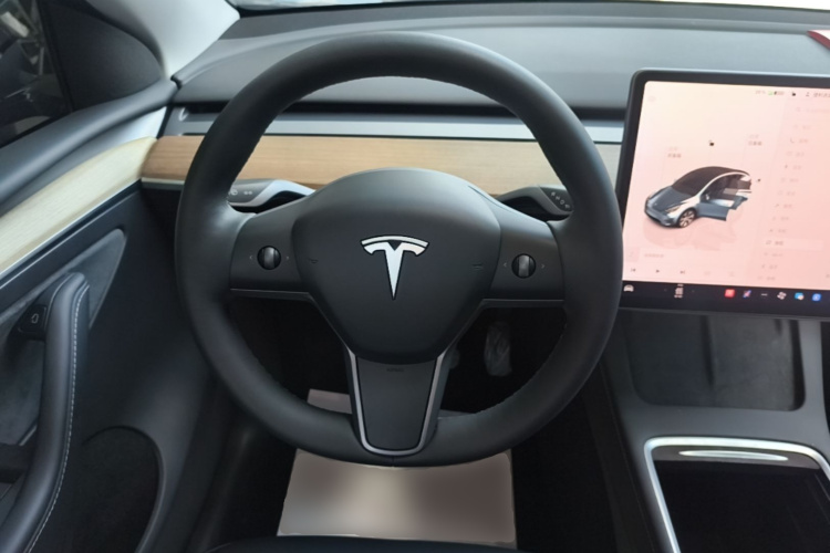 Tesla Model Y 2023 car image #11