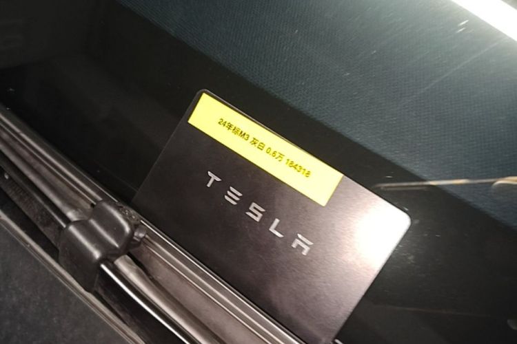 Tesla Model 3 2024 #13 Tesla Model 3 2024 car image #13