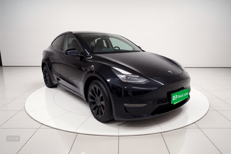 Tesla Model Y 2021 car image #4