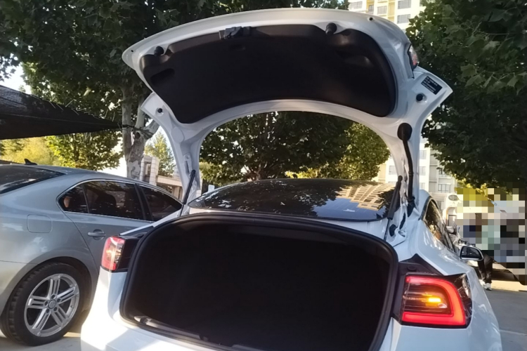 Tesla Model 3 2020 #19 Tesla Model 3 2020 car image #19