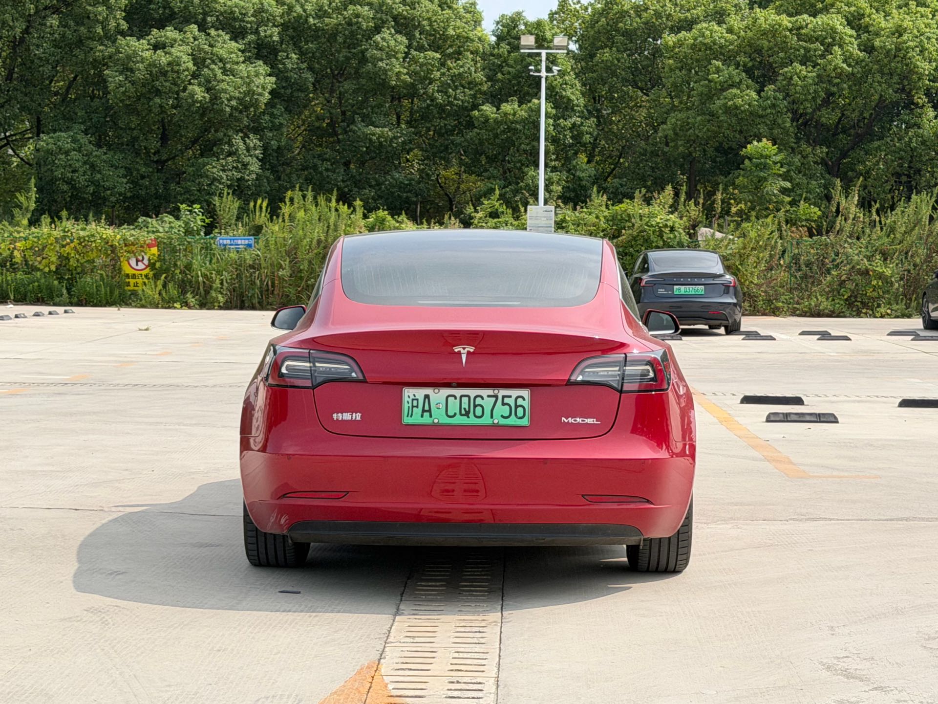Tesla Model 3 2020 #5 Tesla Model 3 2020 car image #5