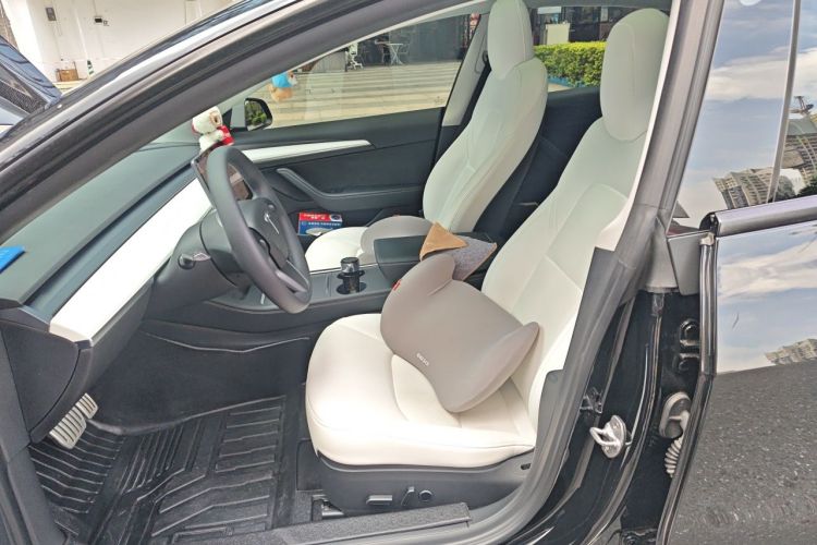 Tesla Model 3 2021 car image #19