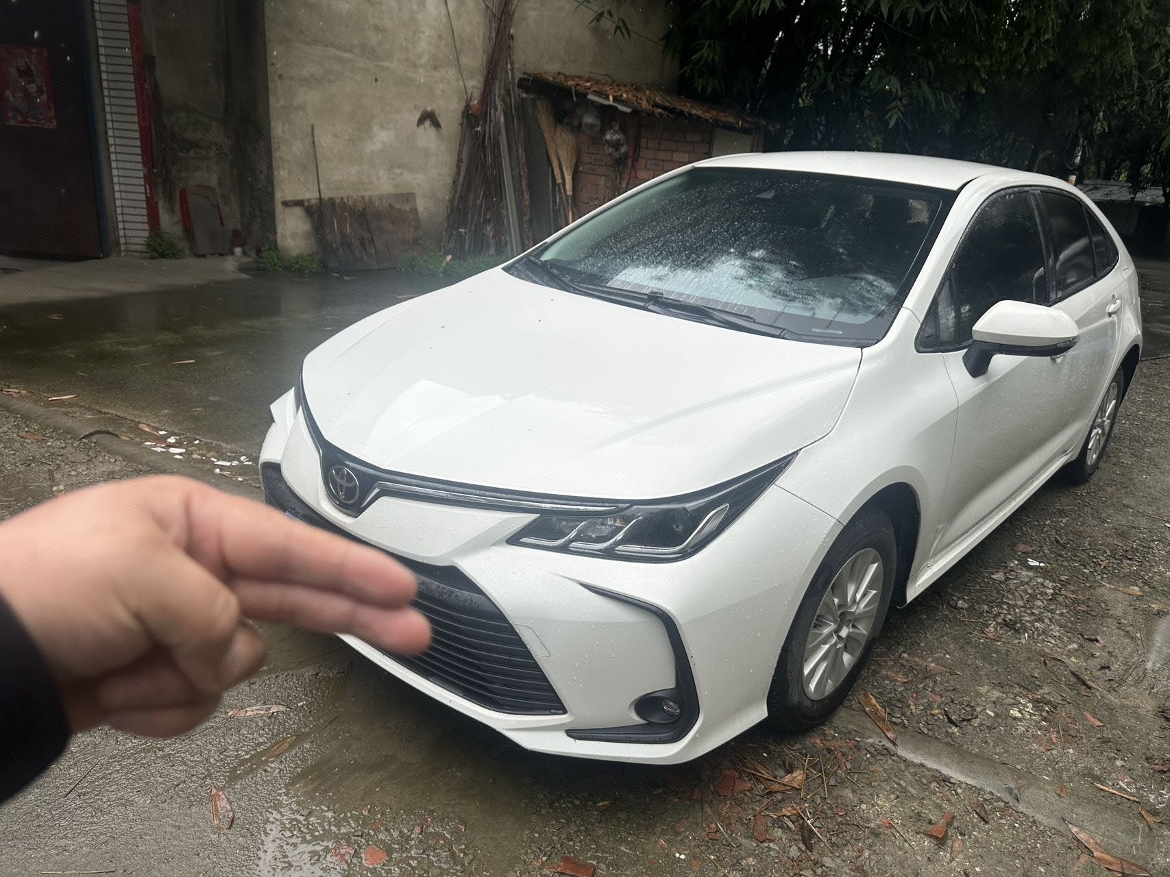 Toyota Corolla 2024 Toyota Corolla 2024 immagine di auto