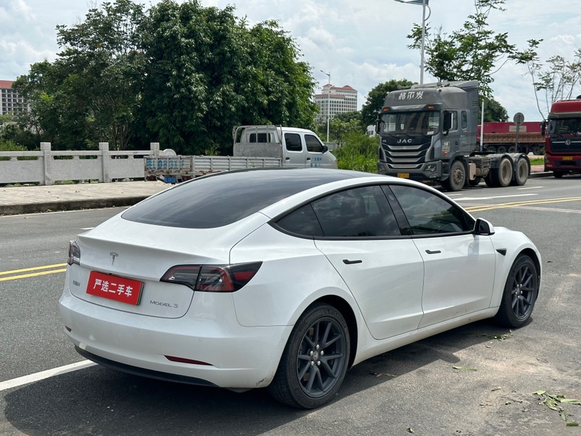 Tesla Model 3 2021 #9 Tesla Model 3 2021 car image #9