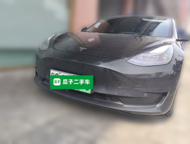 Tesla Model 3 2022 car image 