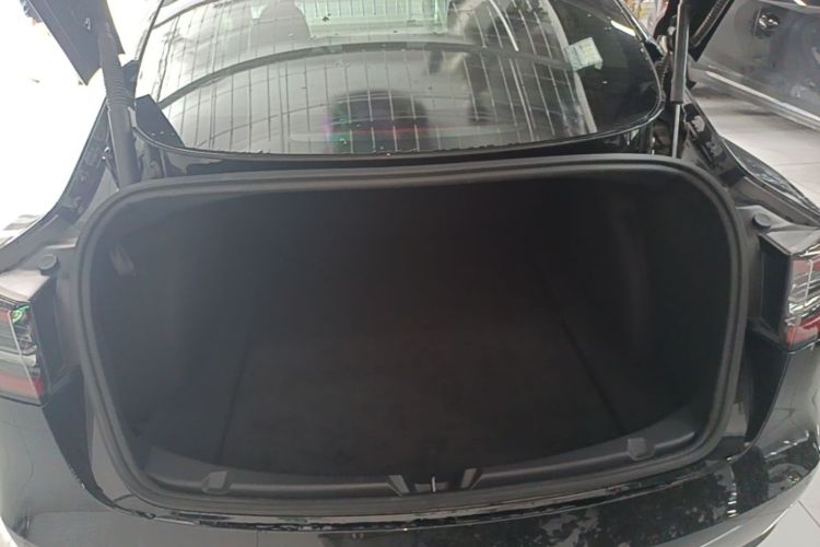 Tesla Model 3 2021 car image #19