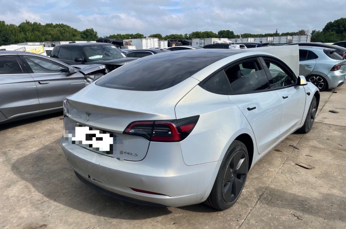 Tesla Model 3 2023 #2 Tesla Model 3 2023 car image #2