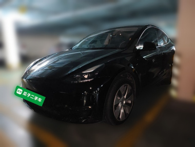 Tesla Model Y 2023 car image 