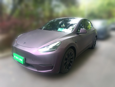 Tesla Model Y 2021 Tesla Model Y 2021 car image