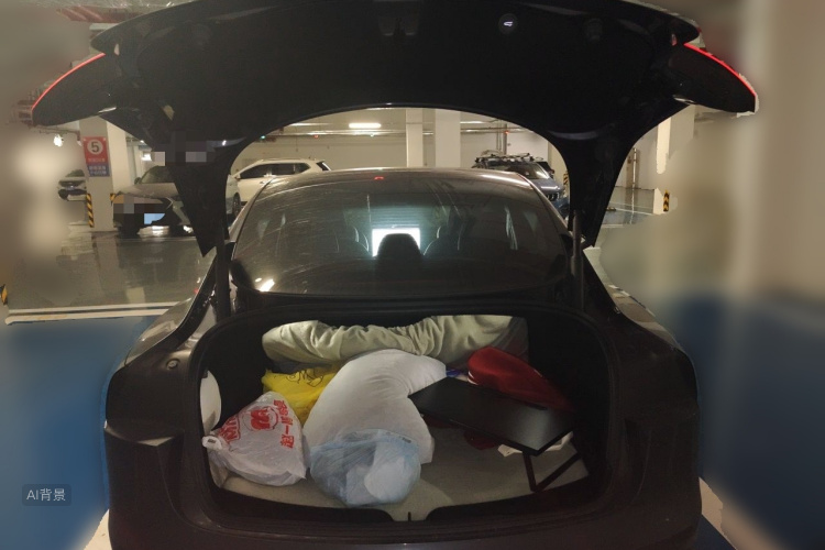 Tesla Model 3 2024 car image #21
