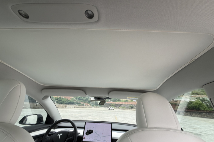 Tesla Model 3 2021 car image #11
