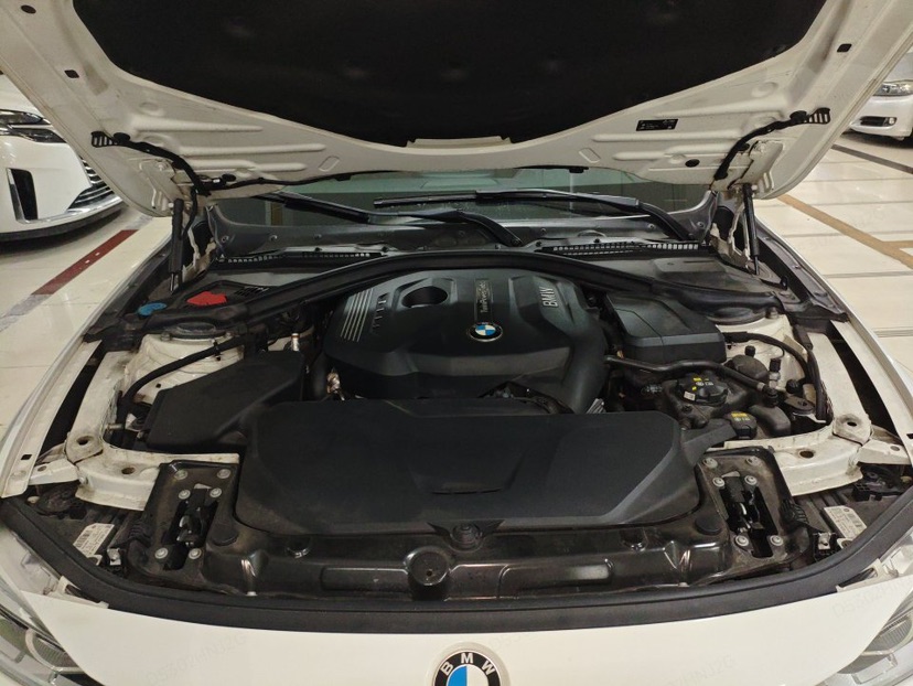 BMW 3 Series 2019 car image #8