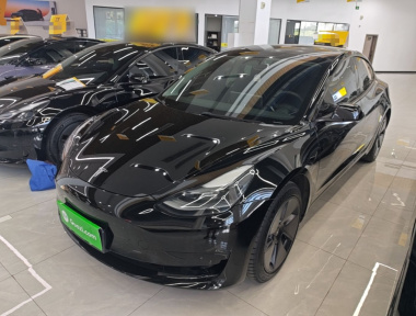 Tesla Model 3 2022 car image 