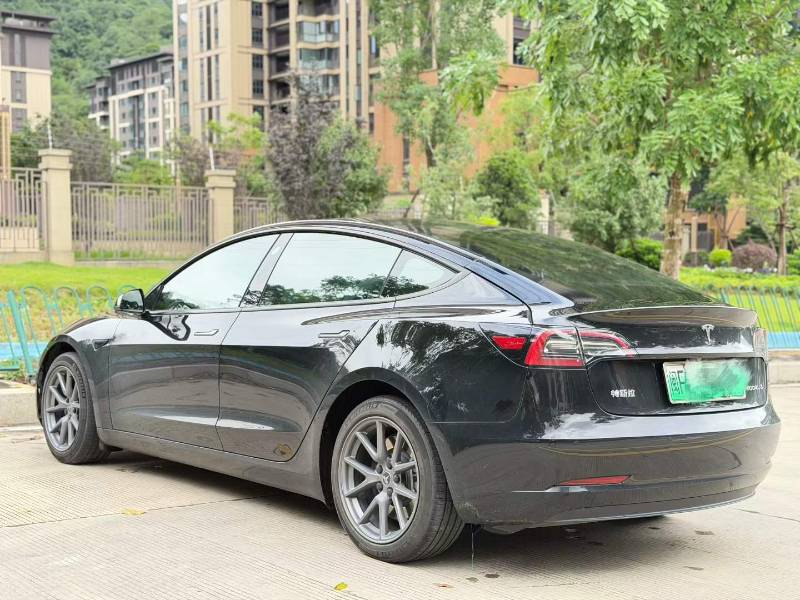 Tesla Model 3 2023 #9 Tesla Model 3 2023 car image #9