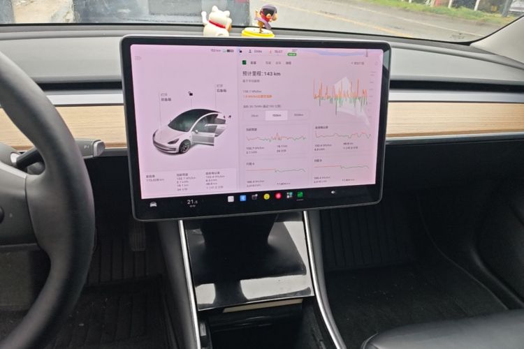 Tesla Model 3 2020 #13 Tesla Model 3 2020 car image #13