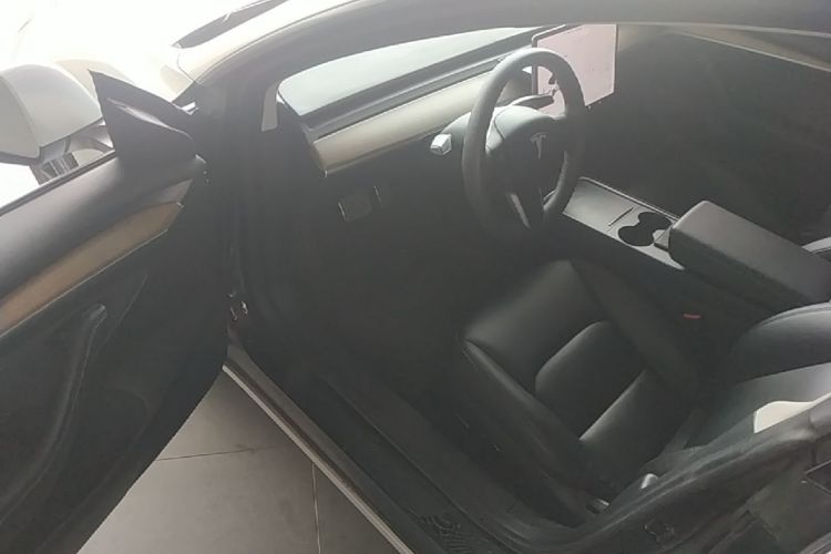 Tesla Model 3 2021 car image #16