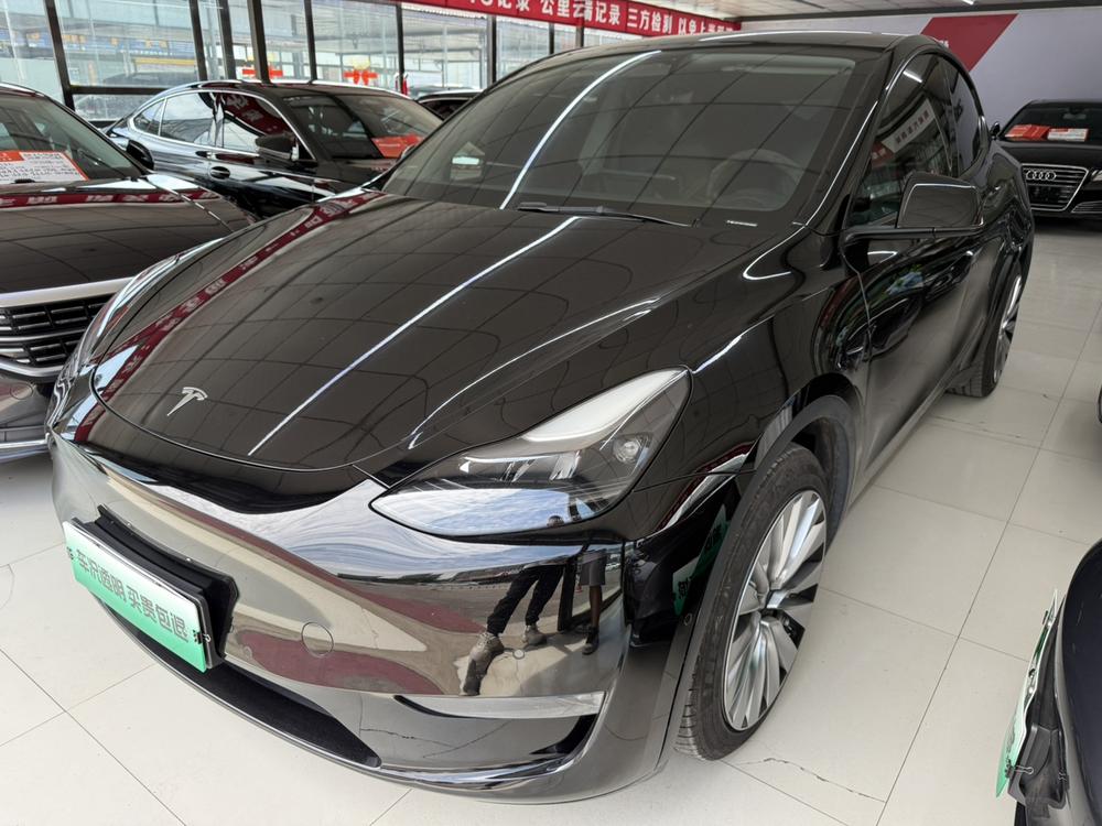 Tesla Model Y 2021 Tesla Model Y 2021 car image