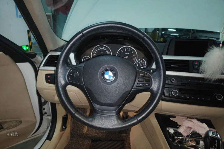 BMW 3 Series 2014 car image #12