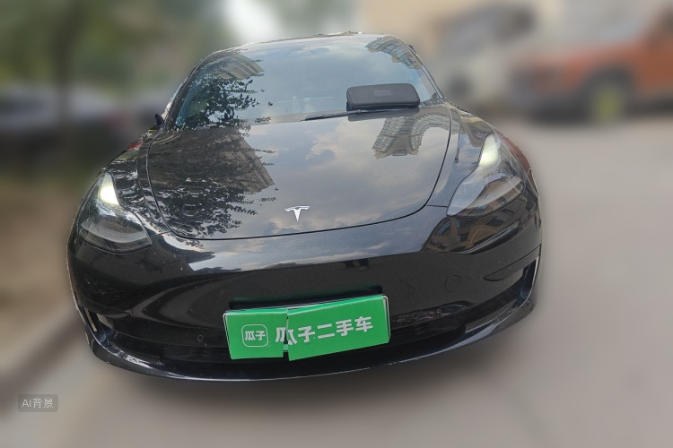 Tesla Model 3 2021 immagine di auto #3