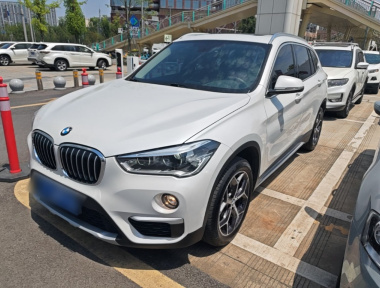 BMW X1 2019 immagine di auto 