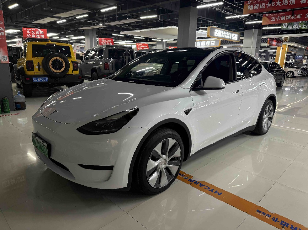 Tesla Model Y 2023 car image 