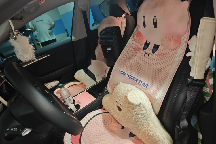 Tesla Model 3 2023 car image #17