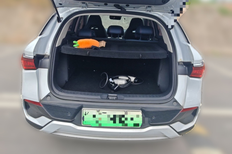 BYD Yuan Plus 2022 #21 BYD Yuan Plus 2022 изображение автомобиля #21
