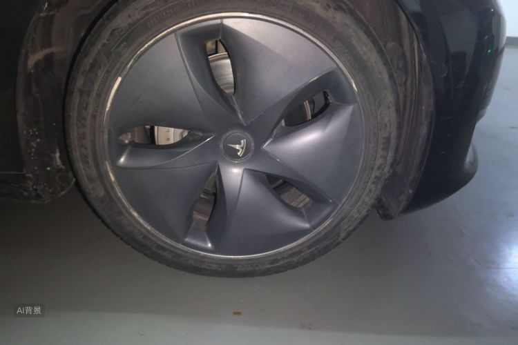 Tesla Model 3 2020 car image #9