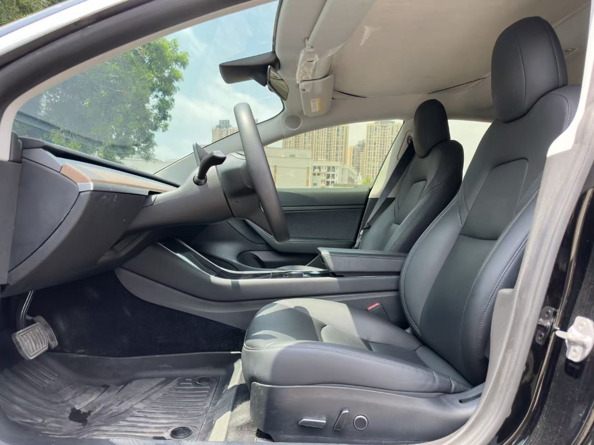 Tesla Model 3 2021 #3 Tesla Model 3 2021 car image #3