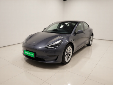 Tesla Model 3 2022 Tesla Model 3 2022 car image