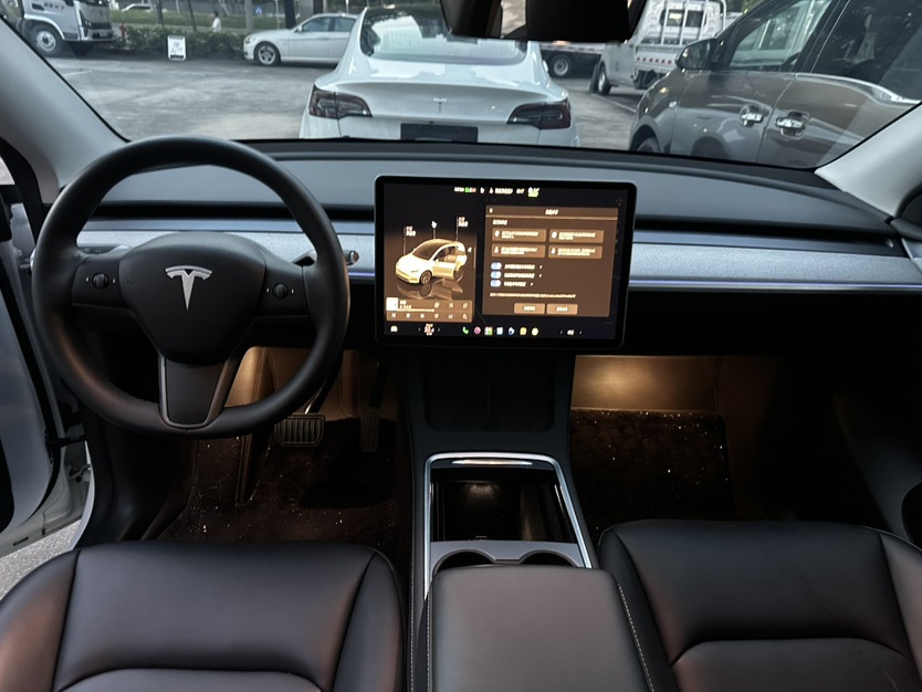 Tesla Model Y 2024 car image #8