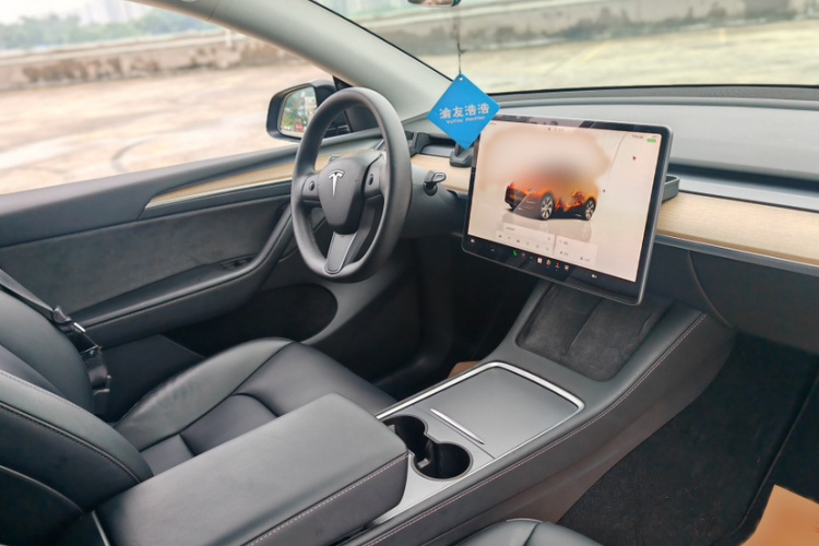 Tesla Model Y 2021 immagine di auto #19