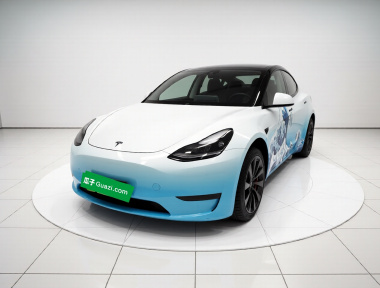 Tesla Model Y 2021 immagine di auto 