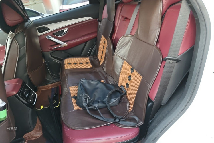 Jetour X70 PLUS 2022 car image #19